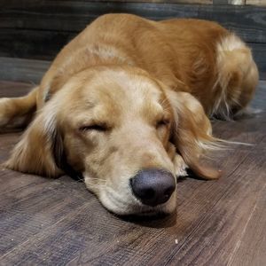 Meet your Posher, Brent